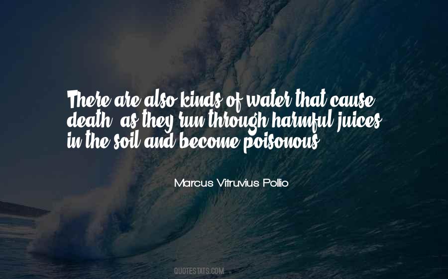 Marcus Vitruvius Pollio Quotes #745060