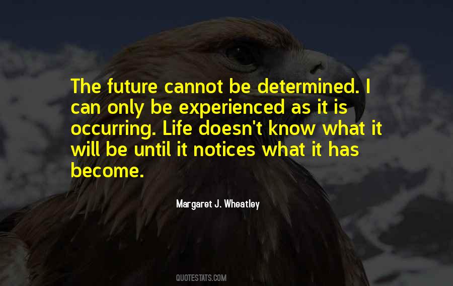 Margaret J. Wheatley Quotes #1560990