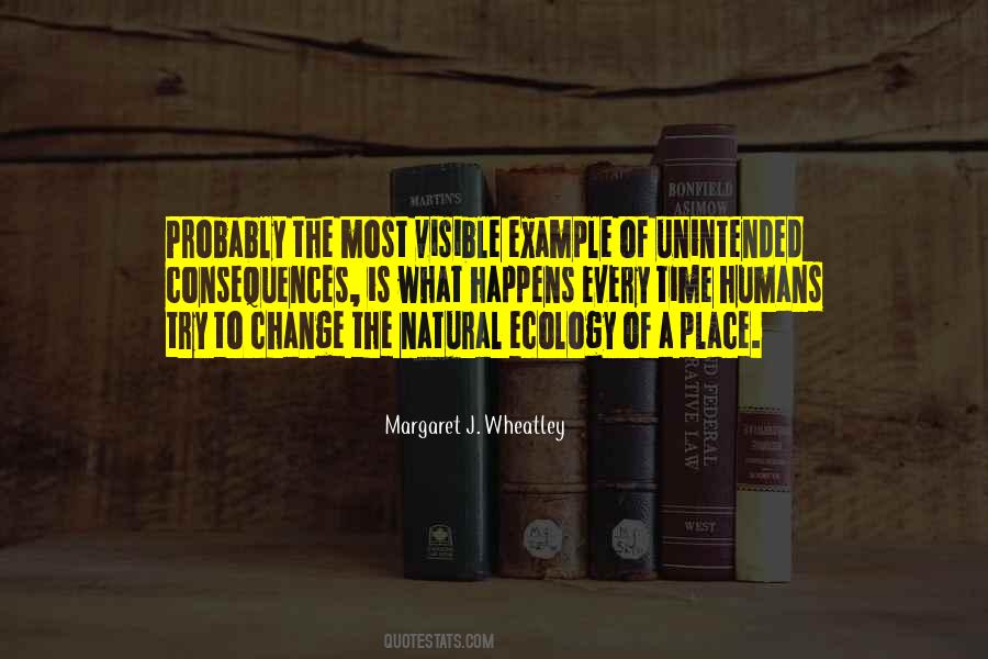 Margaret J. Wheatley Quotes #443568