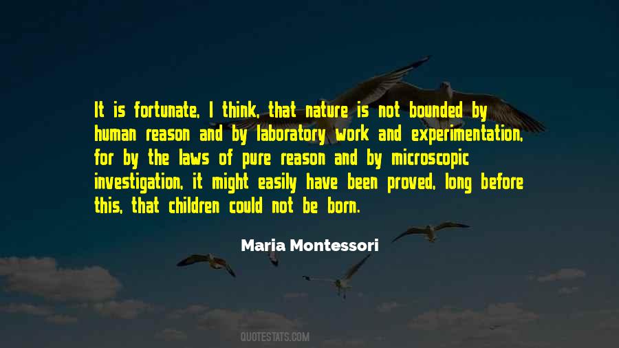 Maria Montessori Quotes #813318