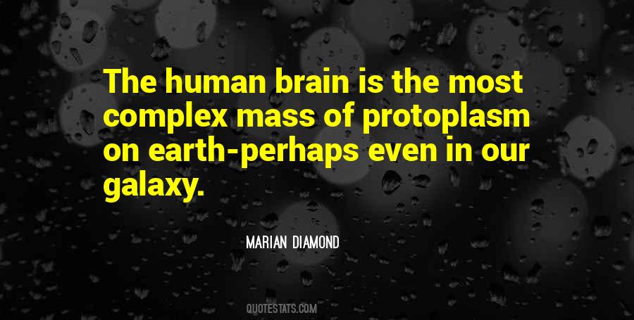 Marian Diamond Quotes #230516 Marian Diamond Quotes #230516
