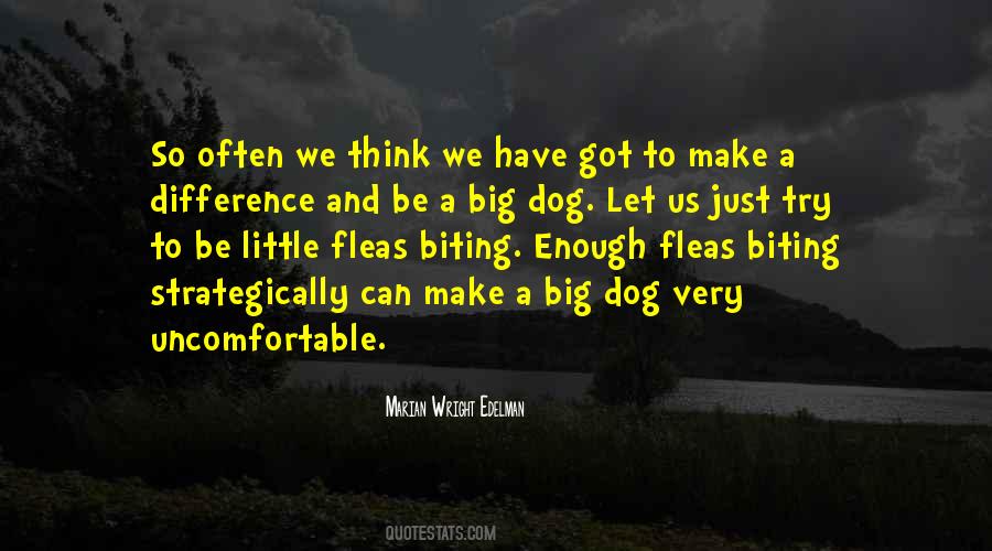 Marian Wright Edelman Quotes #498806