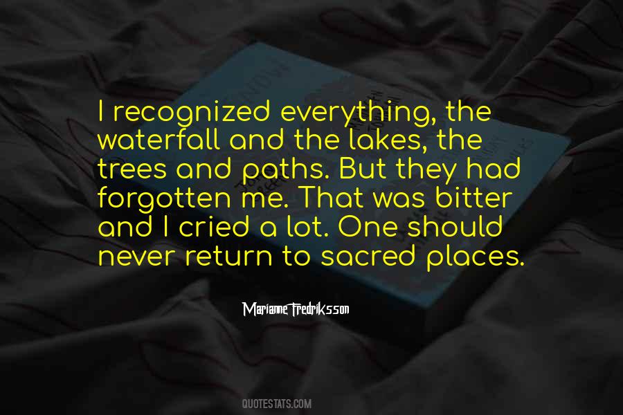 Marianne Fredriksson Quotes #64646