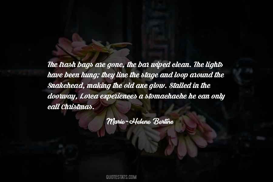 Marie-Helene Bertino Quotes #788306