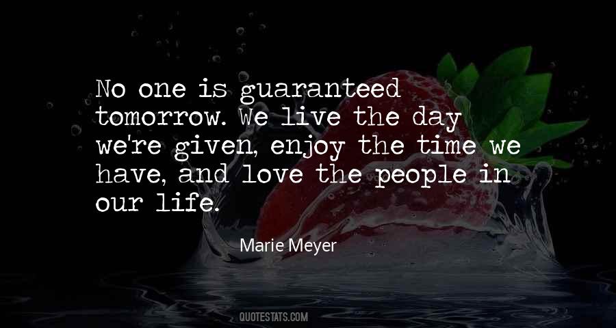 Marie Meyer Quotes #984466