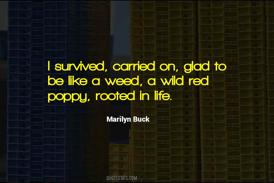 Marilyn Buck Quotes #563318