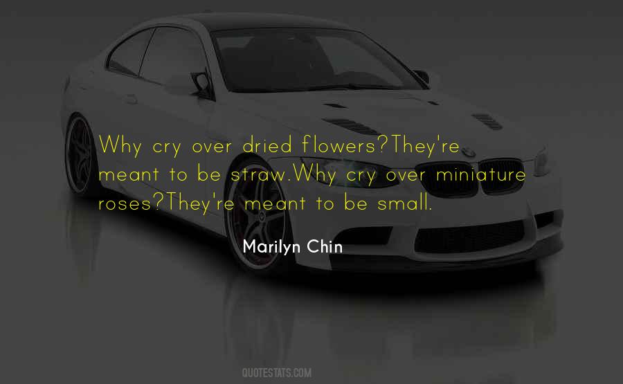 Marilyn Chin Quotes #1791480