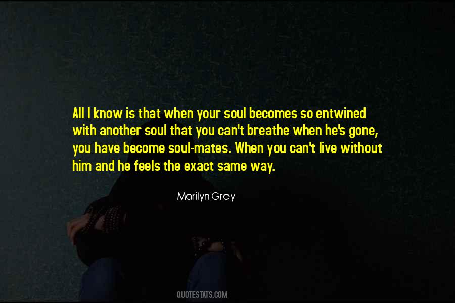 Marilyn Grey Quotes #8940