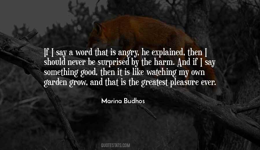 Marina Budhos Quotes #451478