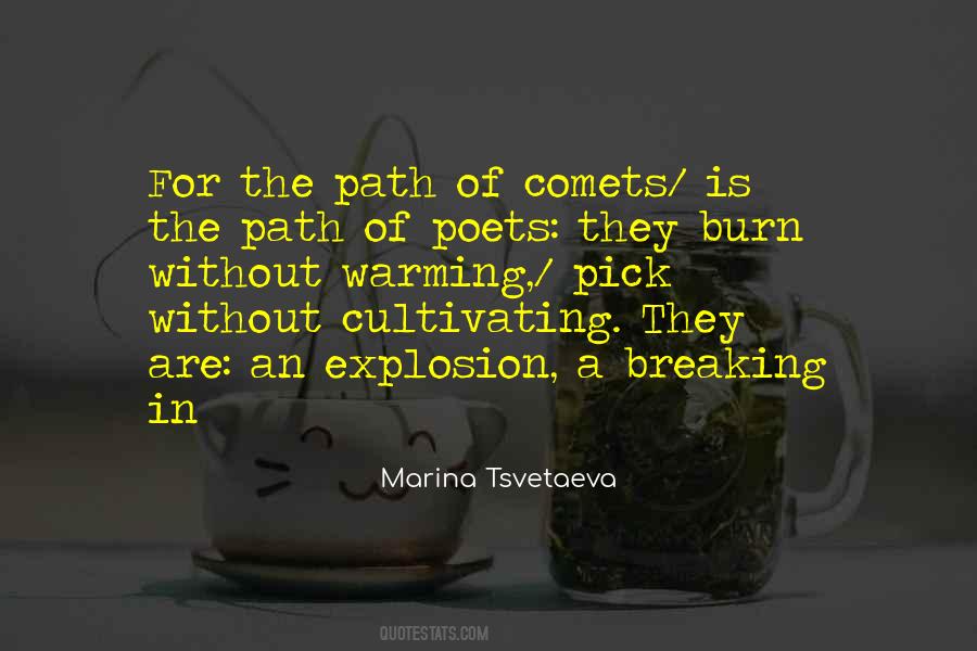 Marina Tsvetaeva Quotes #897988