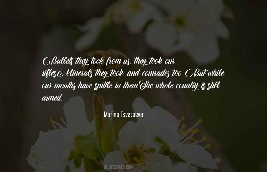 Marina Tsvetaeva Quotes #980249