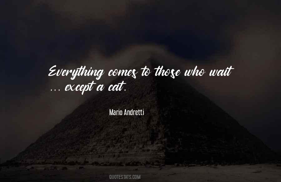 Mario Andretti Quotes #1002749