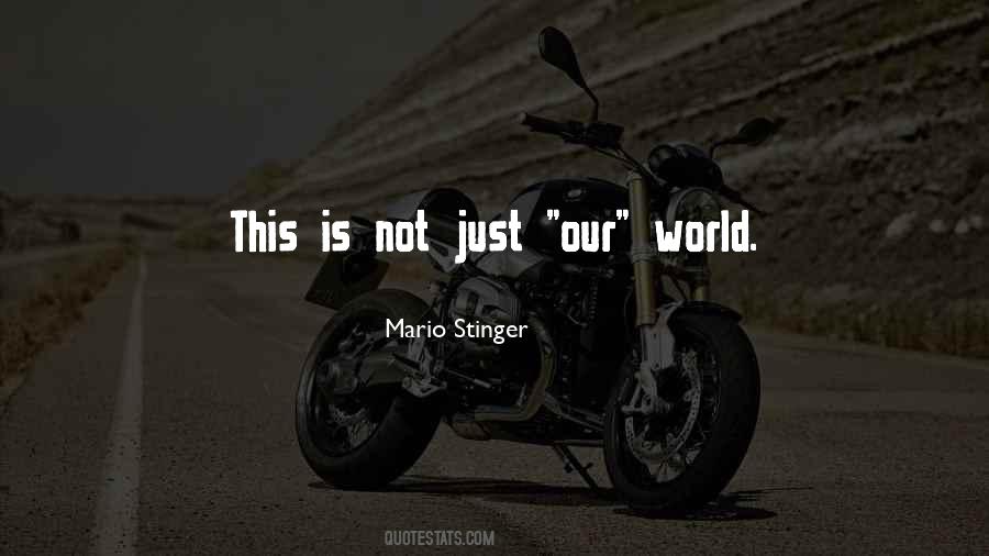 Mario Stinger Quotes #530723
