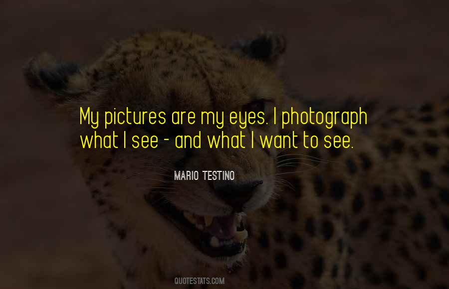 Mario Testino Quotes #1496385
