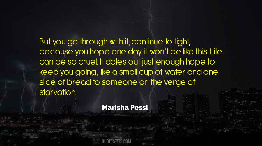 Marisha Pessl Quotes #567267