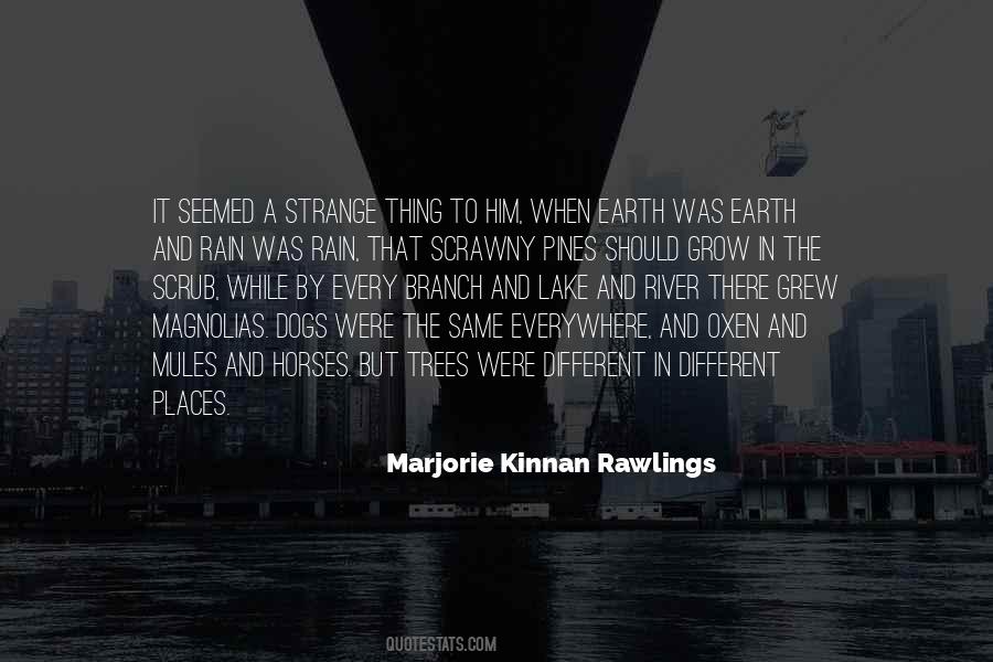 Marjorie Kinnan Rawlings Quotes #1362717