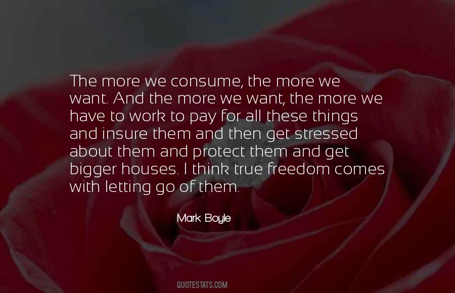 Mark Boyle Quotes #1376021