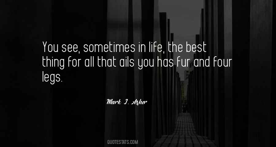 Mark J. Asher Quotes #1383553