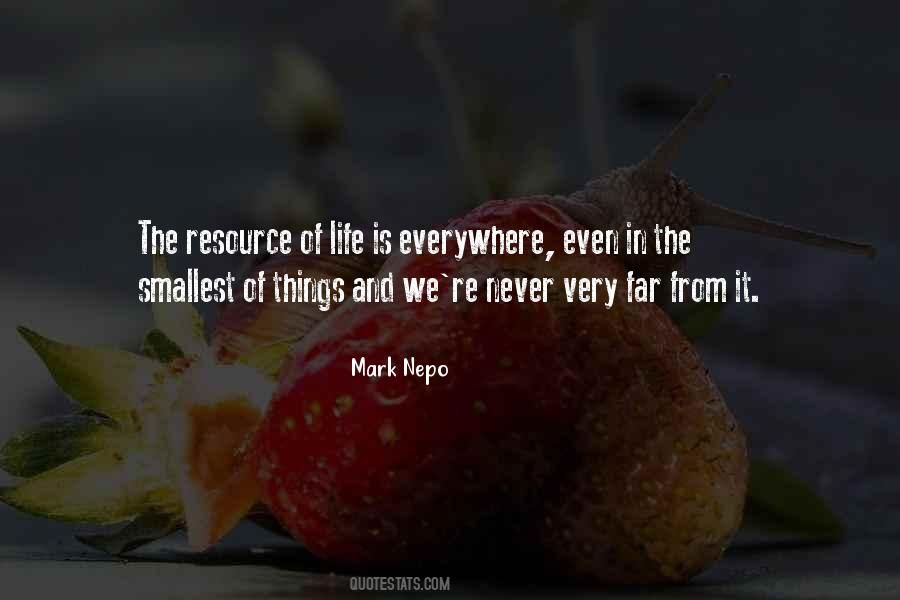 Mark Nepo Quotes #42304