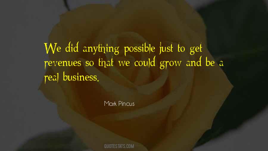 Mark Pincus Quotes #996748