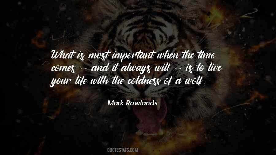 Mark Rowlands Quotes #796587