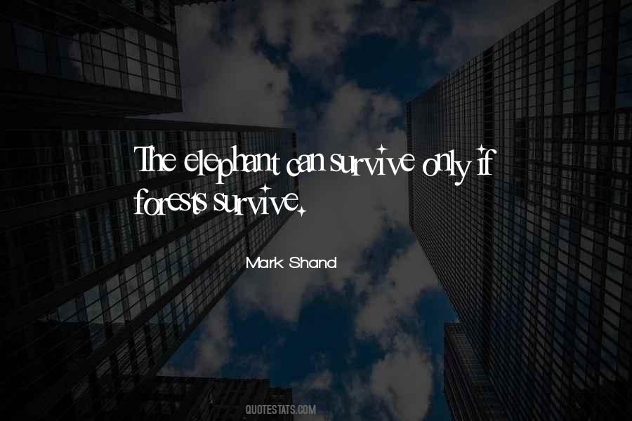 Mark Shand Quotes #1245153