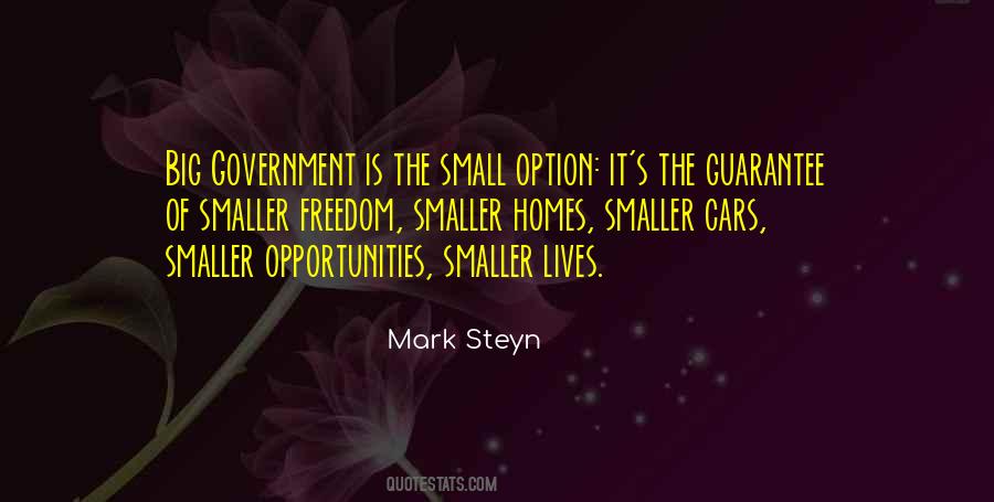 Mark Steyn Quotes #205539