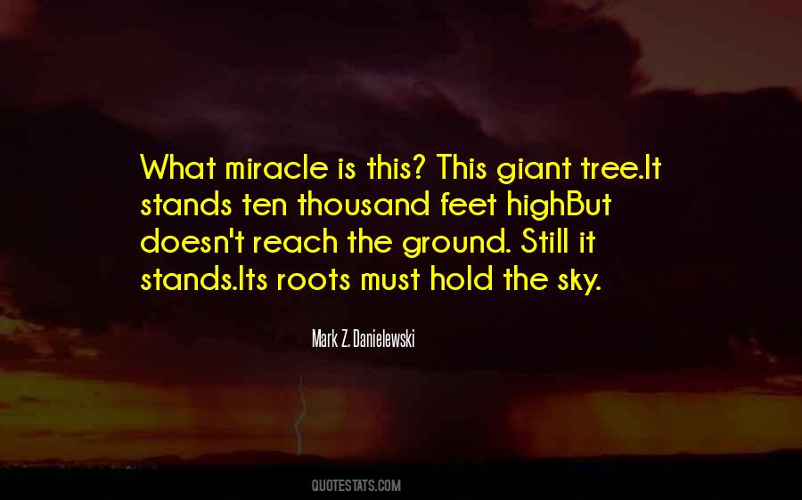 Mark Z. Danielewski Quotes #1718433