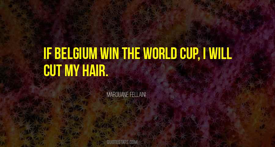 Marouane Fellaini Quotes #1149641 Marouane Fellaini Quotes #1149641