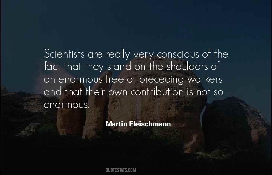 Martin Fleischmann Quotes #1220832