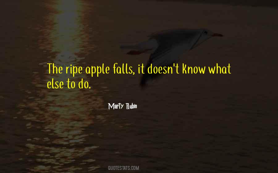 Marty Rubin Quotes #1213885