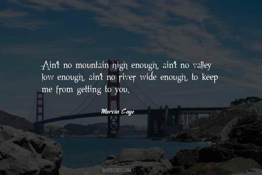 Marvin Gaye Quotes #302549