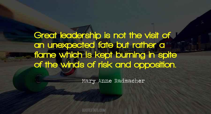 Mary Anne Radmacher Quotes #411912
