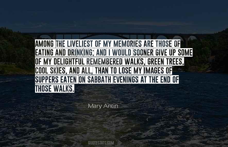 Mary Antin Quotes #1138403