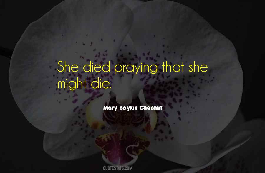 Mary Boykin Chesnut Quotes #1299454