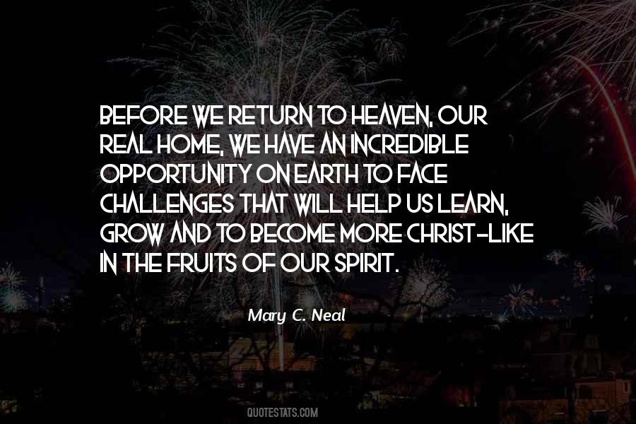 Mary C. Neal Quotes #1622847