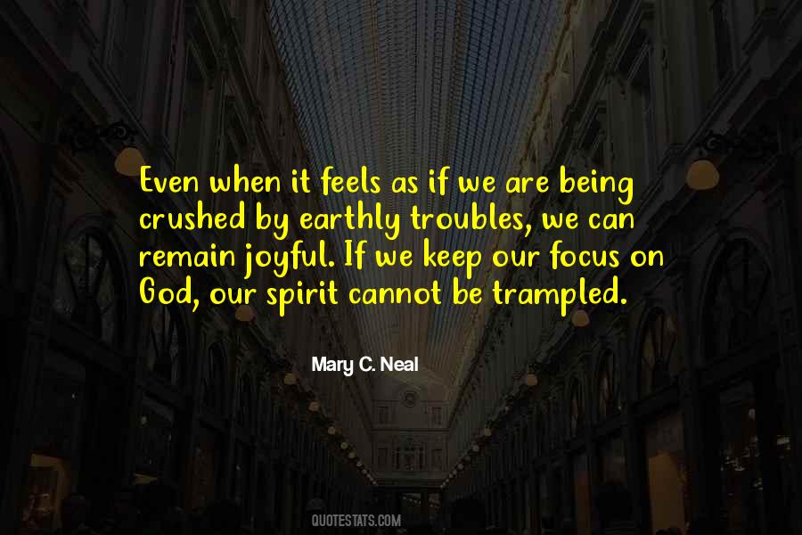 Mary C. Neal Quotes #1856428