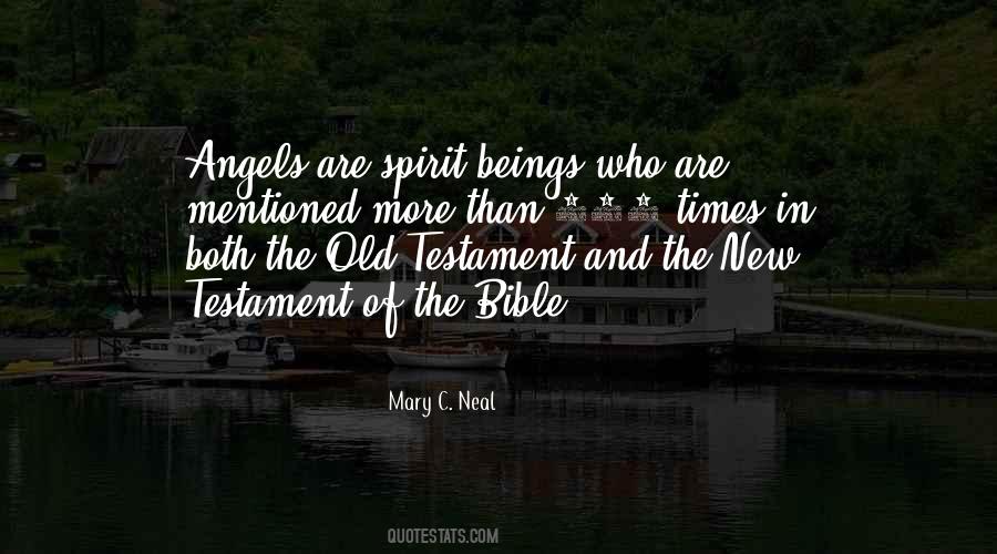 Mary C. Neal Quotes #676435