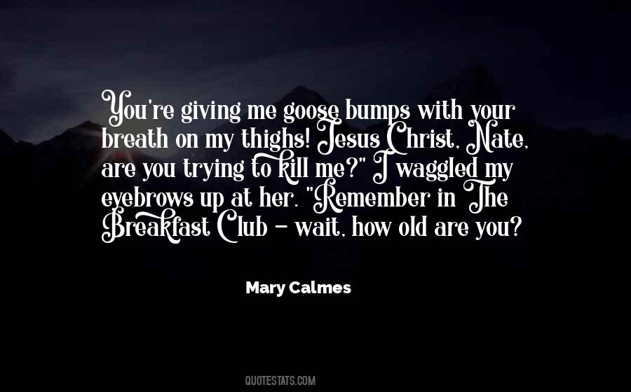 Mary Calmes Quotes #195780