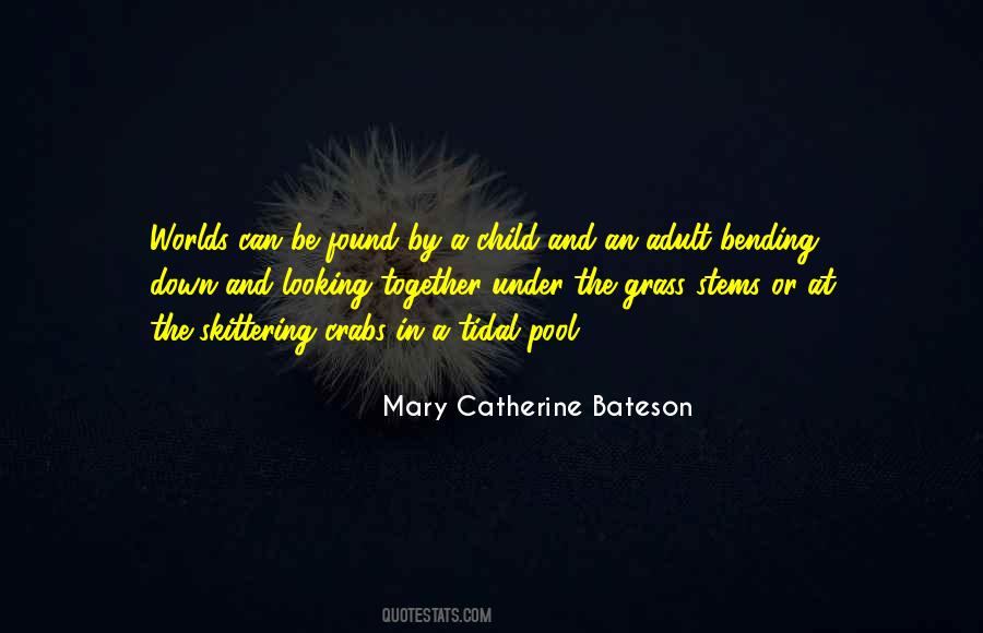 Mary Catherine Bateson Quotes #23086