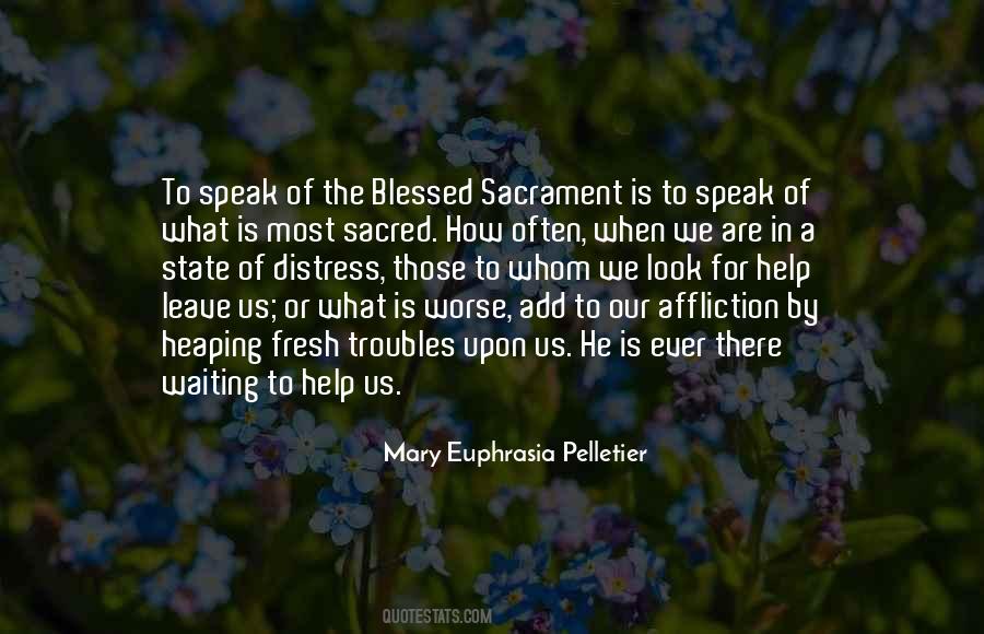 Mary Euphrasia Pelletier Quotes #243726