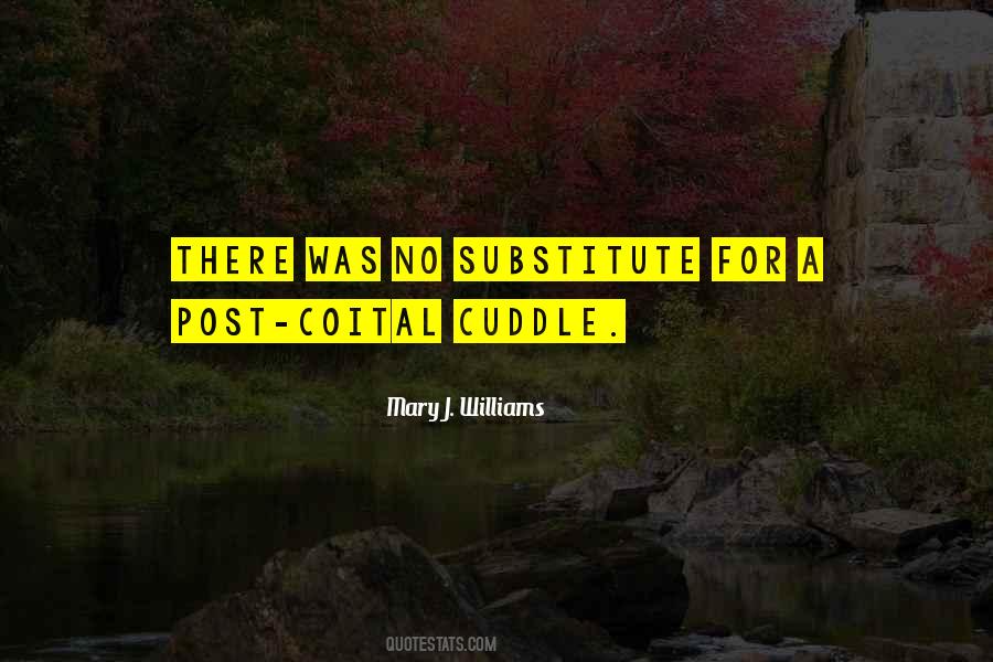Mary J. Williams Quotes #1597411