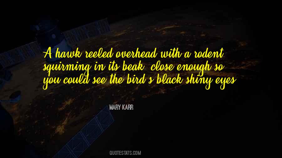 Mary Karr Quotes #1597888
