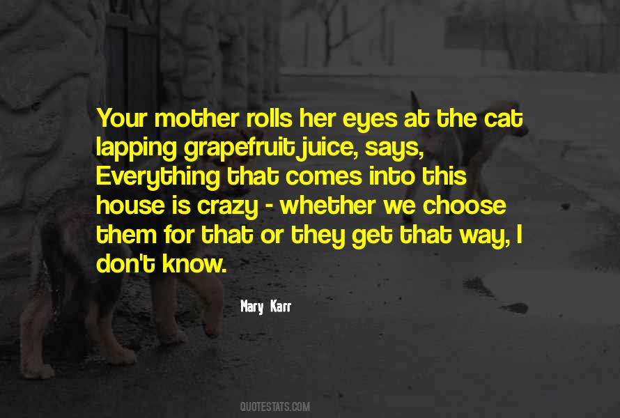 Mary Karr Quotes #1669020