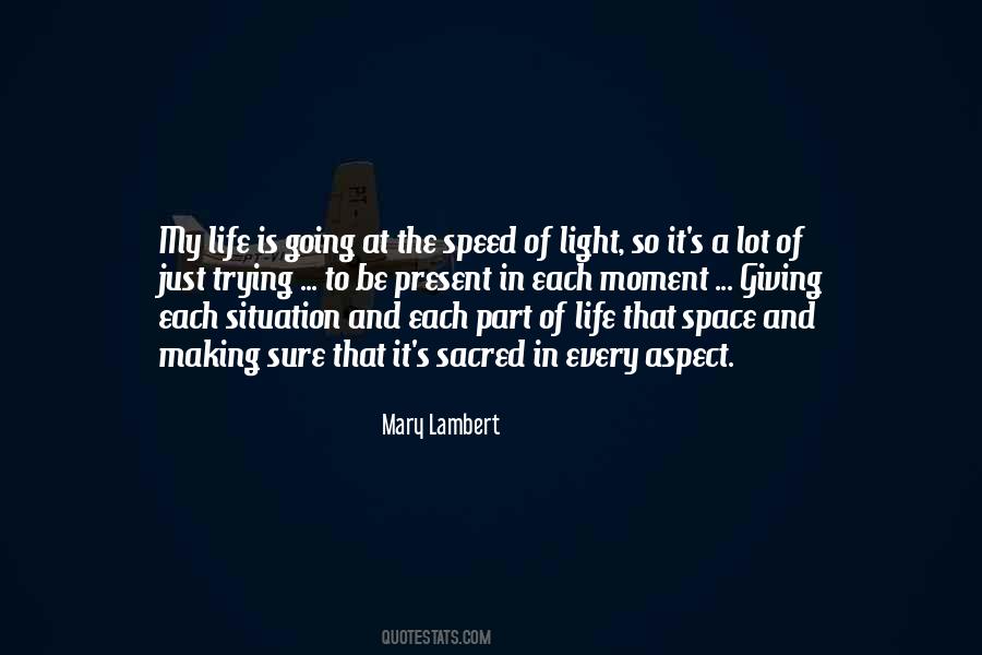 Mary Lambert Quotes #1450428