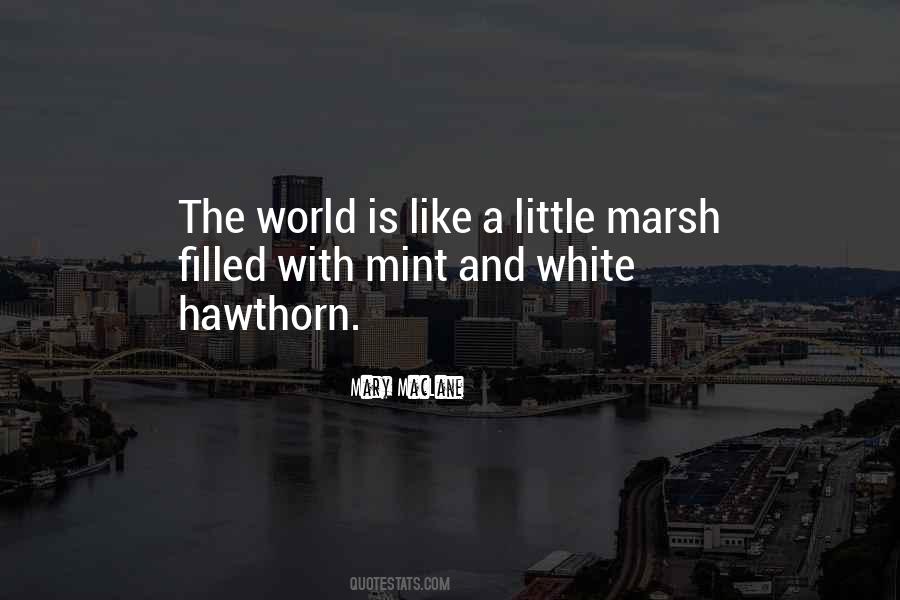 Mary MacLane Quotes #615664