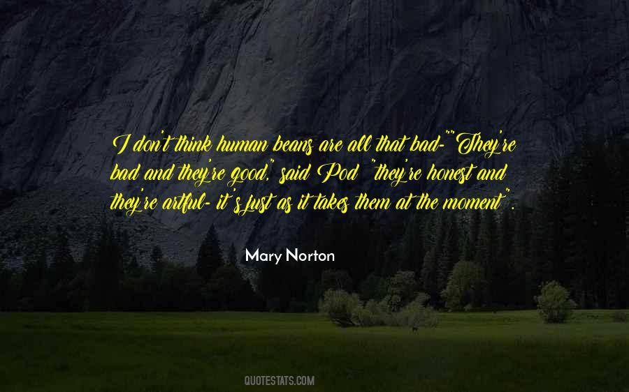 Mary Norton Quotes #1557904