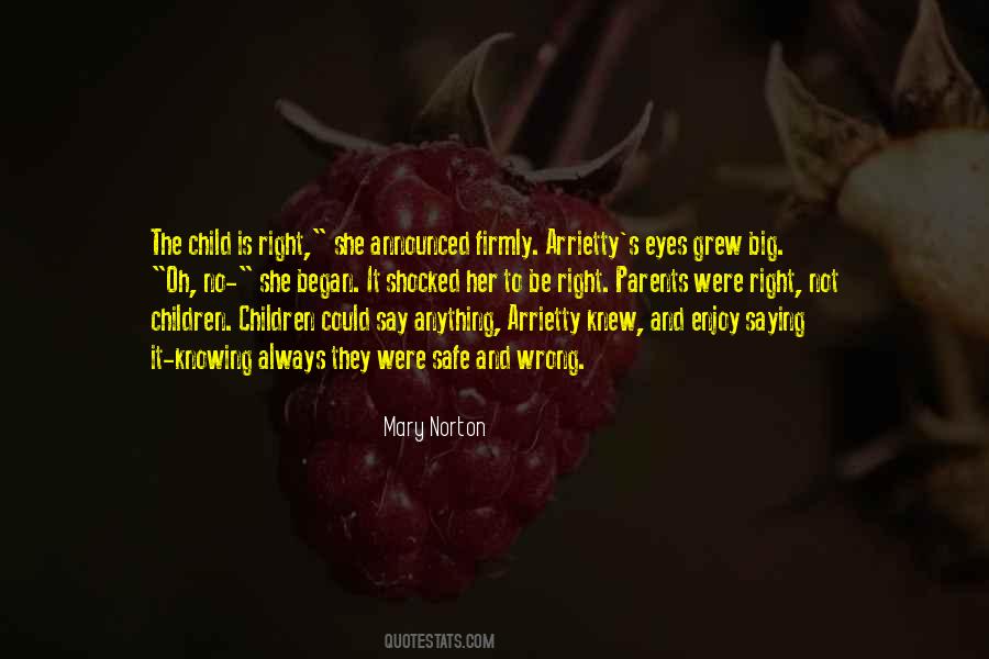 Mary Norton Quotes #506894