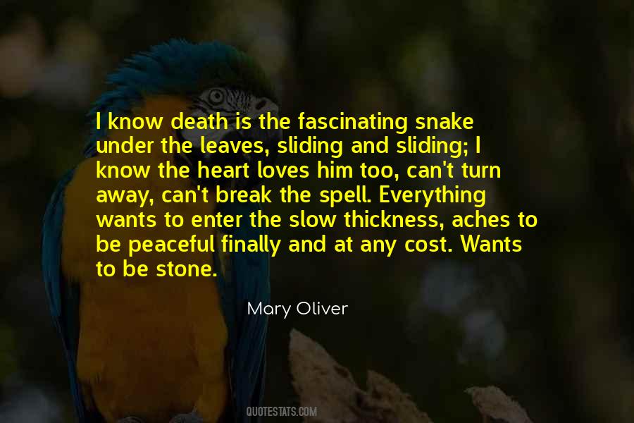 Mary Oliver Quotes #1138727