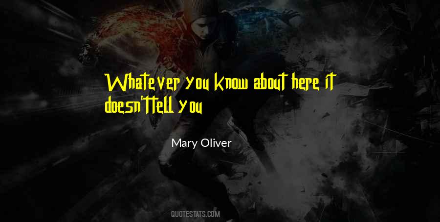 Mary Oliver Quotes #115567